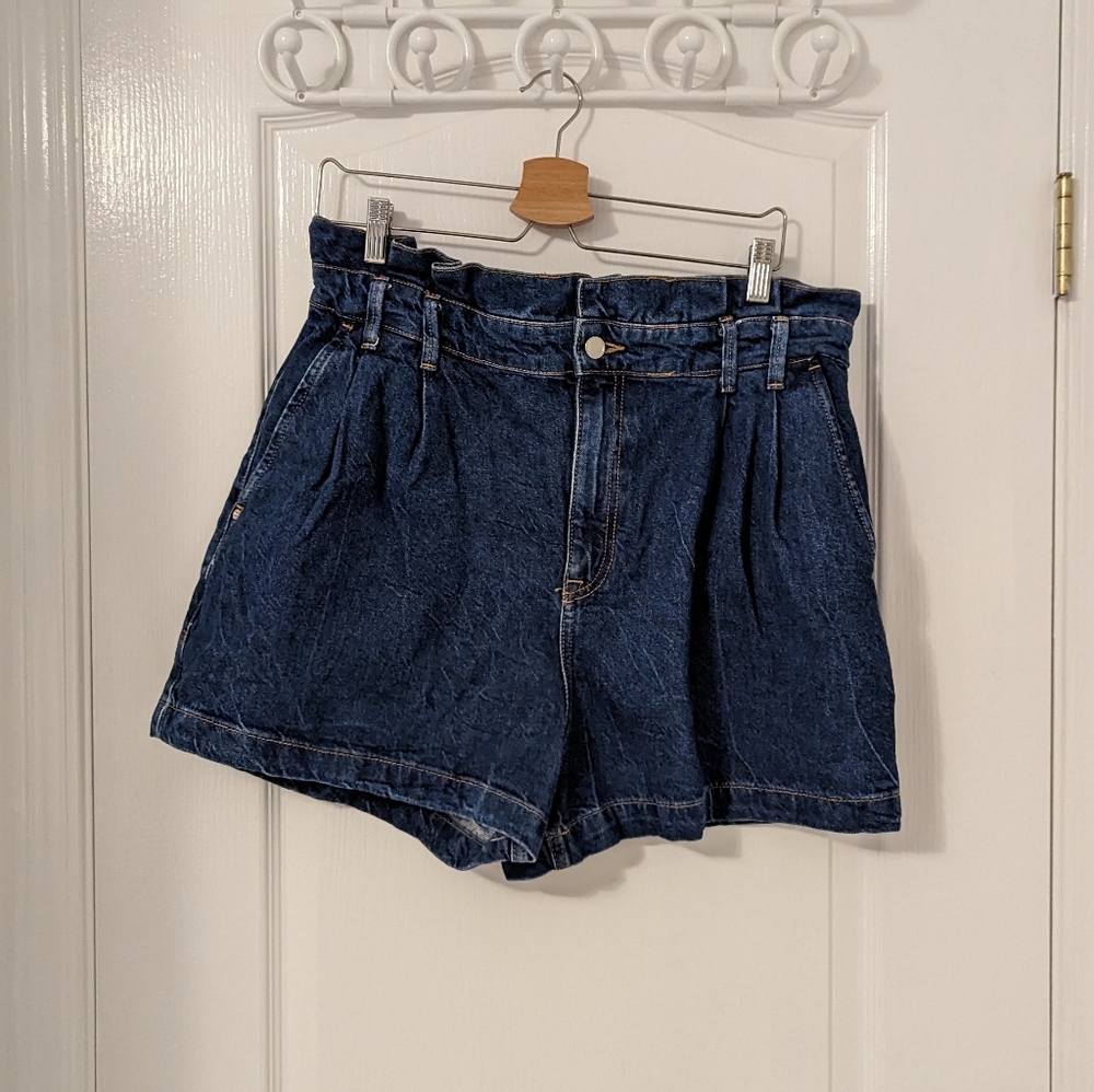 Zara High Waist Paper Bag Shorts, Size 12
